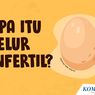 Dilarang Dijual di Warung, Apa Itu Telur Infertil?