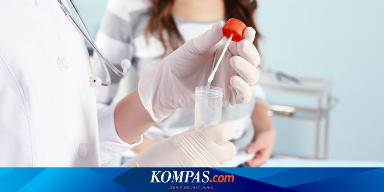 2 Faktor Keberhasilan Program Bayi Tabung Bagi Pasangan Tidak Subur Halaman All Kompas 
