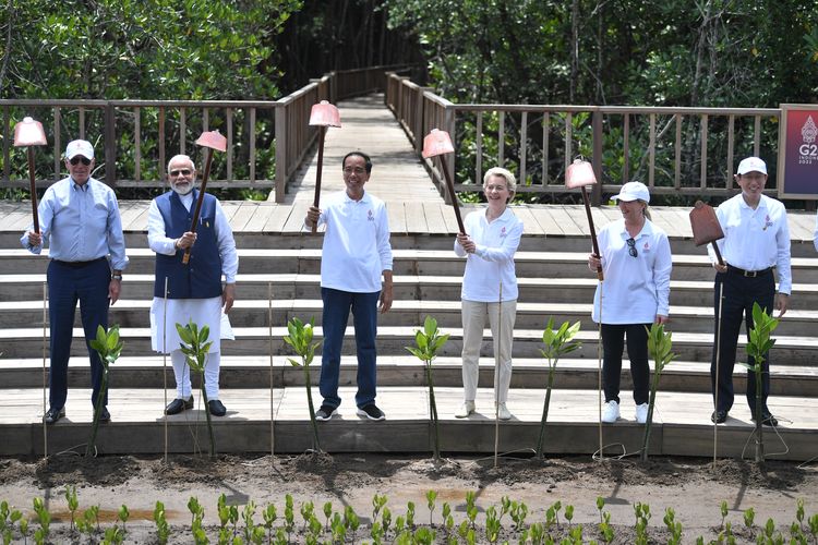 Presiden Joko Widodo (ketiga kiri) bersama (kiri-kanan) Presiden Amerika Serikat Joe Biden, Perdana Menteri India Narendra Damodardas Modi, Presiden Komisi Eropa Ursula von der Leyen, Perdana Menteri Italia Giorgona Meloni dan Perdana Menteri Jepang Fumio Kishida mengangkat cangkulnya usai menanam pohon mangrove di Taman Hutan Raya (Tahura) Ngurah Rai pada hari kedua KTT G20 Indonesia di Denpasar, Bali, Rabu (16/11/2022). ANTARA FOTO/Media Center G20 Indonesia/Akbar Nugroho Gumay/wsj.