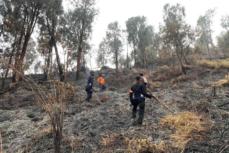 Kebakaran Gunung Lawu di Kabupaten Karanganyar, Jawa Tengah (Jateng), mencapai 100 hektar dan 10 titik api.