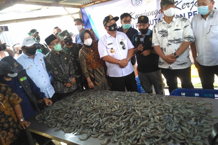 Menteri Kelautan dan Perikanan, Edhy Prabowo meninjau penyortiran udang di tambak yang berada di Kuala Penet, Lampung Timur, Minggu (19/7/2020). Edhy menyatakan, tambak budidaya udang harus tetap menjaga kelestarian hutan mangrove.