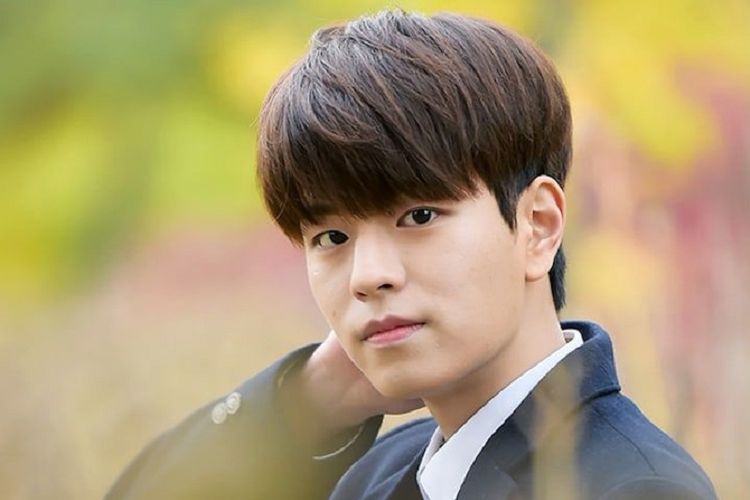 Seungmin, salah seorang member dari boyband K-pop Stray Kids