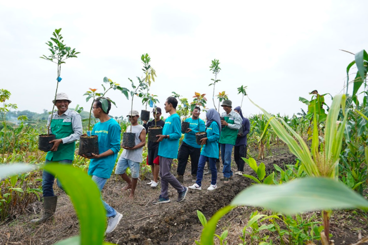 Memasuki tahun ketiga, gerakan #OneActionOneTree telah berhasil mengumpulkan lebih dari 47.845 bibit pohon dan tanaman kekayuan multiguna atau Multi Purpose Trees Species (MPTS), yang telah tertanam di sekitar lereng Perbukitan Patiayam, Kabupaten Kudus, dan Perbukitan Patiayam, Jawa Tengah sepanjang periode 2020?2022.