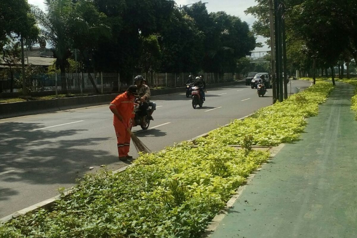 Anggota pasukan oranye, Rajito saat membersihkan Taman Daan Mogot, Jakarta Barat, Senin (26/6/2017).