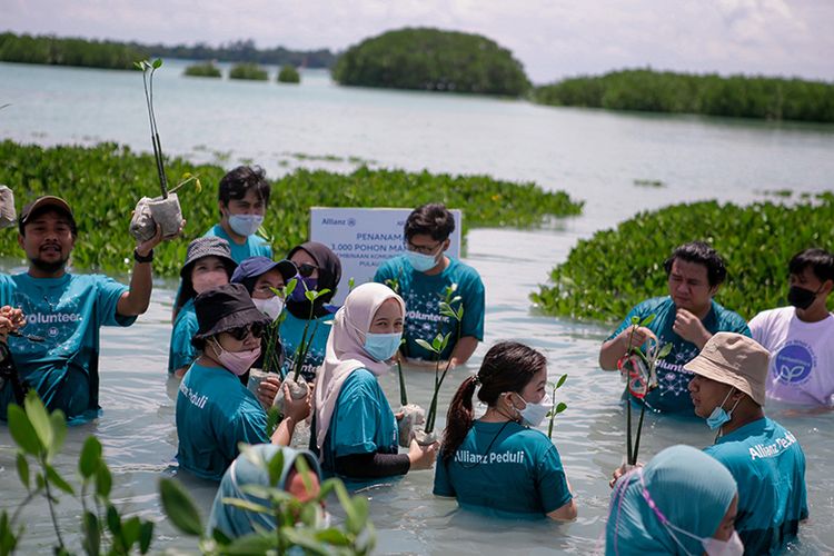 Demi menjaga lingkungan serta mengajak masyarakat melakukan yang #TerbaikBagiBumi, Allianz aktif dalam program World Cleanup Day dan Mangrove Planting.