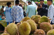 Pemkab Solok Selatan Gelar Lomba Kupas Buah Durian 