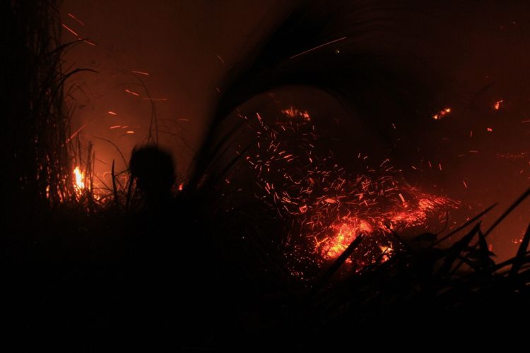 Kondisi kebakaran hutan dan lahan yang terjadi di Kelurahan Sri Mulya Kecamatan Sematang Borang, Palembang, Sumatera Selatan. Kebakaran itu saat ini telah mendekati kediaman warga, Selasa (15/10/2019).