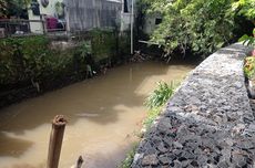 Antisipasi Pohon Tumbang, Peremajaan Pohon Dilakukan Sudin Pertamanan dan Hutan Kota Jaktim