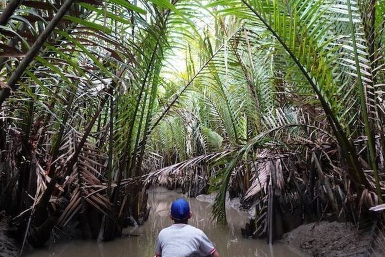 Untuk mencapai Situs Bongal, kita harus menyusuri muara sungai yang masih dihuni buaya dan rawa-rawa nipah. Situs terletak di area perkebunan sawit milik perseorangan.