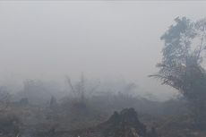 Kebakaran Hutan dan Lahan Terjadi di Rokan Hilir