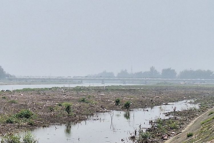 Sikapi Kabut Asap Selimuti Aceh, Mualem Minta Warga Hentikan Aktivitas Pembakaran