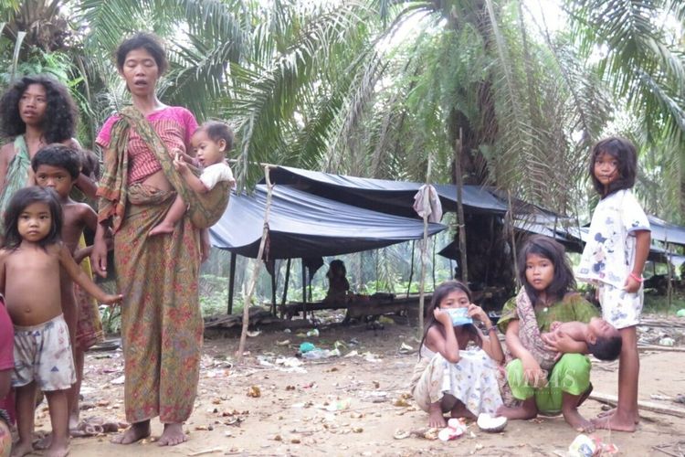 Salah satu Suku anak Dalam atau kelompok Orang Rimba di Tabir Selatan, Merangin, Jambi, Senin (19/11/2018).