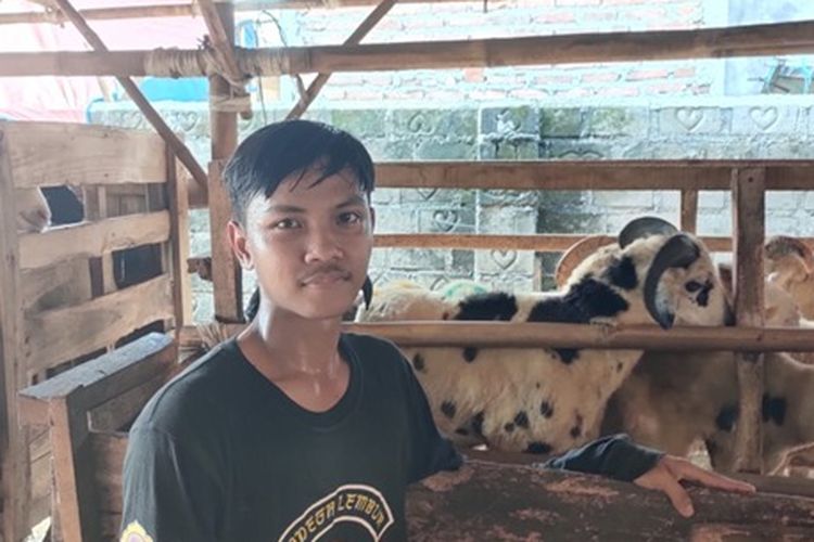 Trisno seorang peternak milenial berusia 16 tahun yang kini berhasil membawa 11 ekor domba hasil perawatannya lolos quality control dompet dhuafa