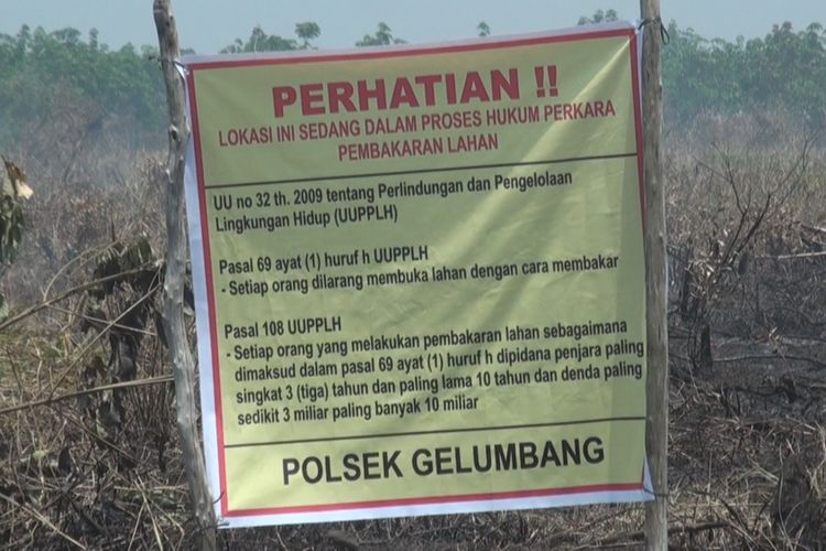 Spanduk penanda  bahwa lahan ini sedang dalam proses hukum Polres Muara Enim dalam perkara kebakran lahan sudah terpasang di lokasi yang terbakar