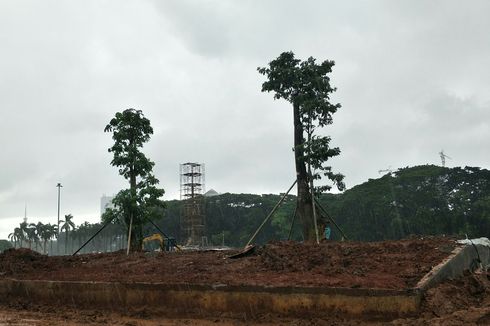 191 Pohon Ditebang demi Revitalisasi Monas, Pemprov DKI Janji Tanam 3 Kali Lipat 