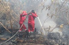 Karhutla di Kampar Riau, Anggota Dewan: Saya Heran Kenapa Sering Terbakar