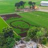 Sawah Lukis di Bergas Lor Kabupaten Semarang, Ada Gambar Ganjar Pranowo
