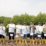 Mangrove Semarang Jadi Bukti Inovasi Hijau PLN Icon Plus