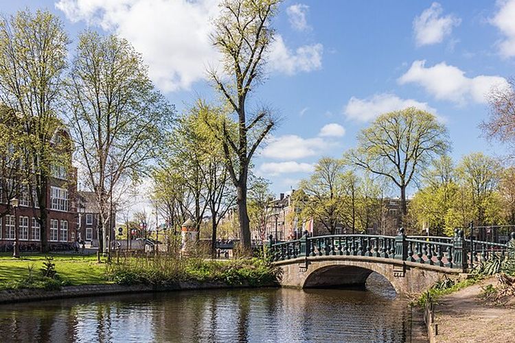 Studi menemukan, tumbuhan mampu mencerminkan iklim dan kondisi tanah perkotaan yang makin hangat, kering, dan homogen.