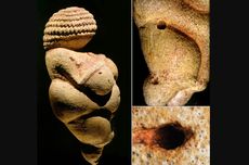 Asal-usul Patung Venus Berusia 30.000 Tahun di Austria Akhirnya Ditemukan