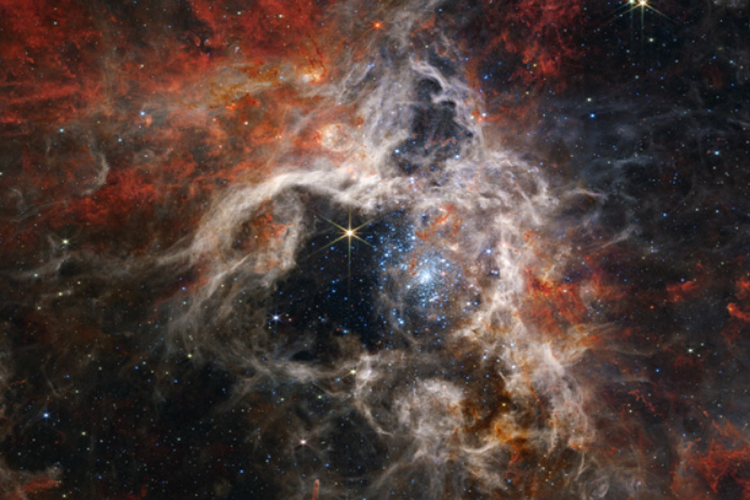 Foto Nebula Tarantula yang diambil oleh Teleskop James Webb  