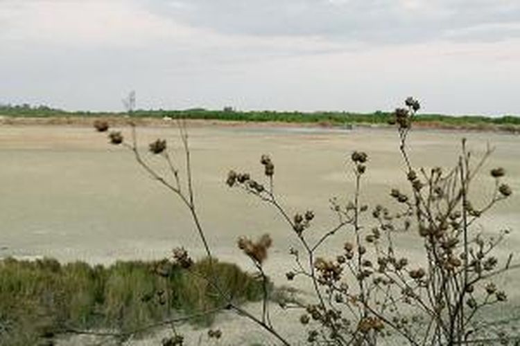 Padang lamun di Tanakeke menjadi bagian menarik yang bisa disaksikan di pulau ini. Tempat ini juga layak menjadi salah satu destinasi wisata.
 