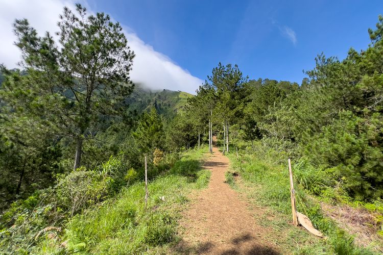 Jalur Pendakian Gunung Andong via Temu Kidul yang Lagi Ramai, Kamis (13/2/2026).