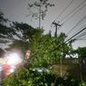 Angin Kencang dan Hujan Es Terjang Subang, Pohon Tumbang Timpa Jaringan Listrik