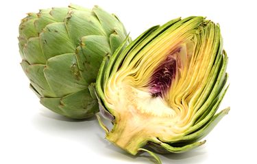 Ilustrasi Sayuran Artichokes