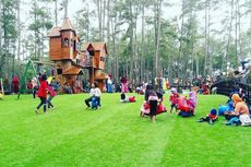 Kemit Forest Cilacap, Wisata Alam di Hutan Pinus