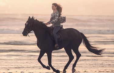 Poster film Black Beauty