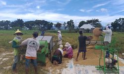 Di Tengah Pandemi Covid-19, Indonesia Sambut Panen Raya Berbagai Komoditas