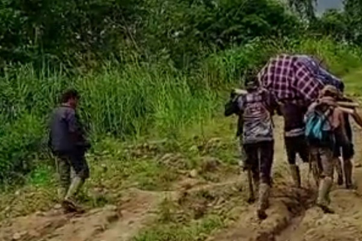 Dengan berjalan kaki melewati jalan tanah yang berlumpur dan penuh rumput ilalang melewati hutan-hutan, sejak pagi hingga malam hari, puluhan bahkan ratusan warga Dusun Pokappaang, Desa Tanamakaleang, Kecamatan Seko, Kabupaten. Luwu Utara, Sulawesi Selatan bergantian mengangkat tandu sejauh kurang lebih 100 kilometer.