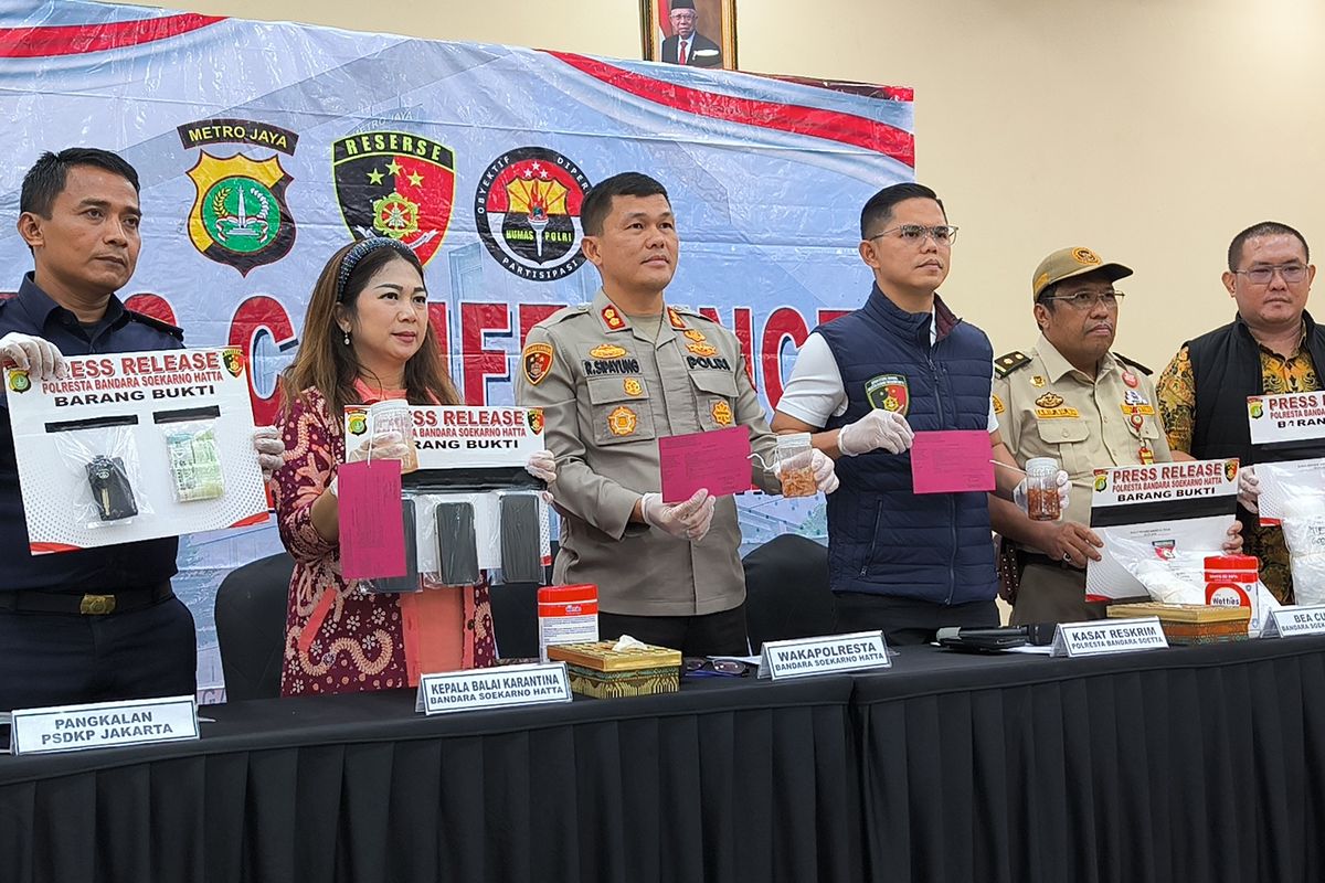 Polisi Gagalkan Penyeludupan 125.310 Benih Baby Lobster yang akan Dikirim Ke Vietnam