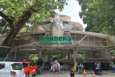 Lokasi, Cara Beli, dan Tiket Masuk Kebun Binatang Bandung