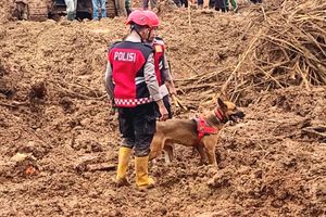 Daftar Korban Longsor Cibeunying: 11 Warga Ditemukan Meninggal, 12 Masih dalam Pencarian