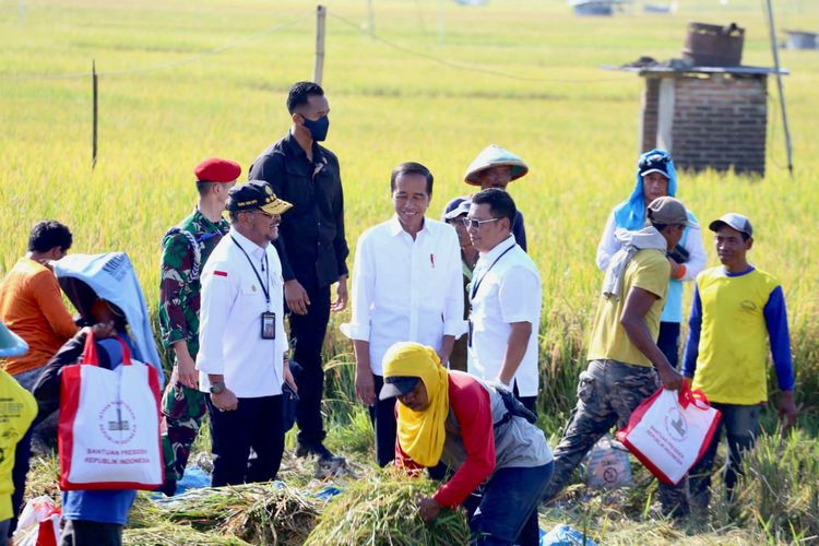 Presiden Joko Widodo (Jokowi) meminta Perum Bulog segera menyerap hasil panen petani menyusul adanya panen raya di Kabupaten Ngawi.