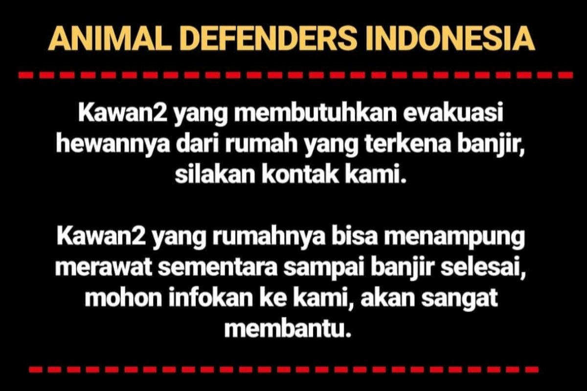 Warga yang terkena banjir bisa titipkan hewan peliharaan ke Animal Defenders Indonesia