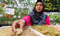 BRI Raih Penghargaan atas Peran Nyata di Urban Farming dan Pemberdayaan Perempuan