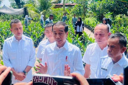 Jokowi Harap Jalur Lintas Selatan Jawa Percepat Mobilitas Logistik