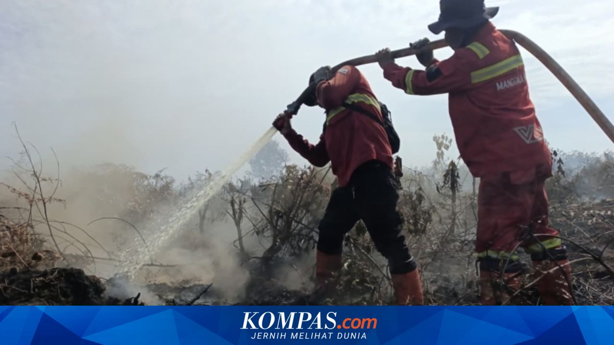 2 Titik Karhutla di Inderagiri Hulu Masih Membara, Helikopter Dikerahkan