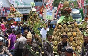 Penggila Durian, Festival Durian Candimulyo Segera Digelar!