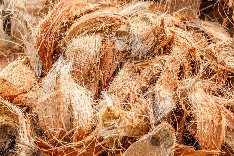 Ilustrasi sabut kelapa. Sabut kelapa dapat dimanfaatkan untuk membuat pupuk organik. 