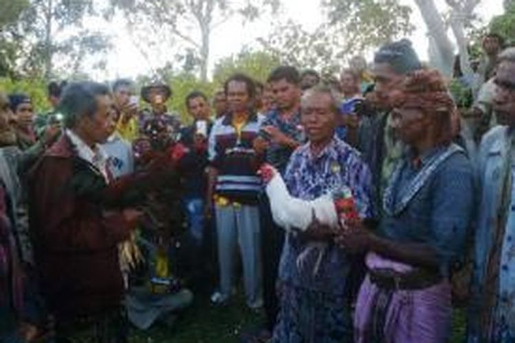 Bahas Pedamaian Adat di tanah sengketa, warga Indonesia (memegang ayam jago warna merah) dan warga Timor Leste (ayam jago warna putih) saling menyerahkan ayam jago sebagai tanda ikatan adat, Minggu (17/5/2015)
