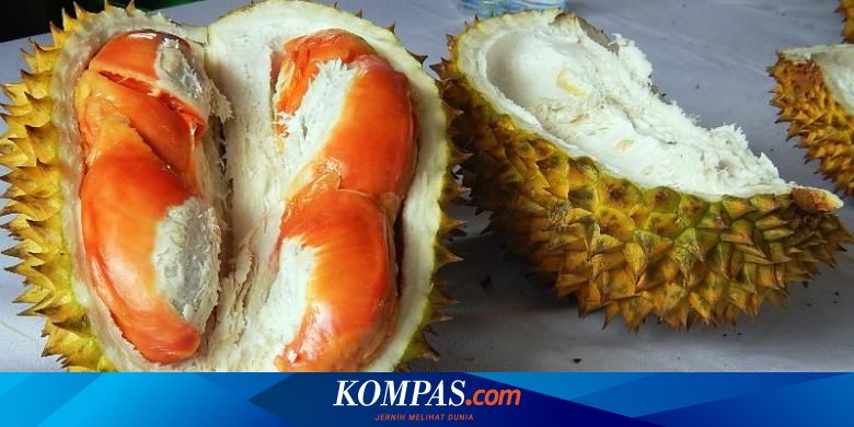 Mau Membudidayakan Durian Merah Ini Caranya Halaman All Kompas Com