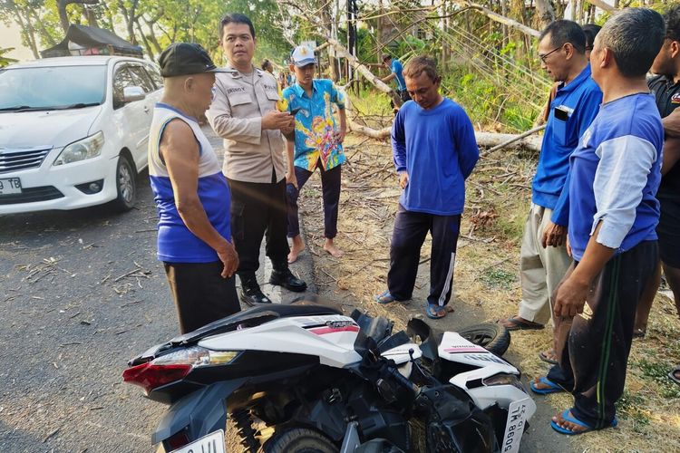 Pohon Johar Tumbang Timpa 2 Motor di Ponorogo, 3 Orang Luka