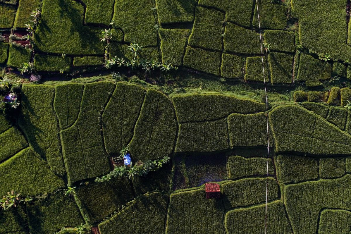 Keindahan alam Indonesia tidak terlepas dari kerentanannya terhadap bencana. Hal ini menegaskan perlunya jaringan komunikasi darurat yang andal.