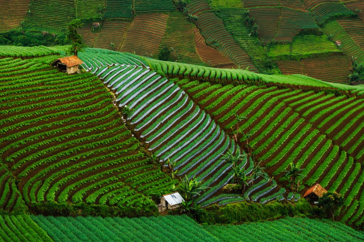 Lembah Panyaweuyan, Sawah Terasering Instagramable di Majalengka