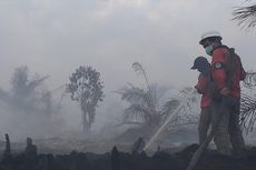 5 Fakta Bencana Karhutla, Ancaman Jokowi hingga Gubernur Riau Kena ISPA