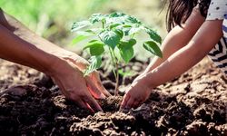 4 Cara Mengajarkan Anak Menjaga Lingkungan Sejak Dini